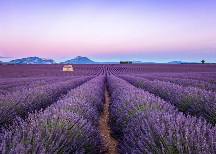 Maison Chaleureuse En Provence