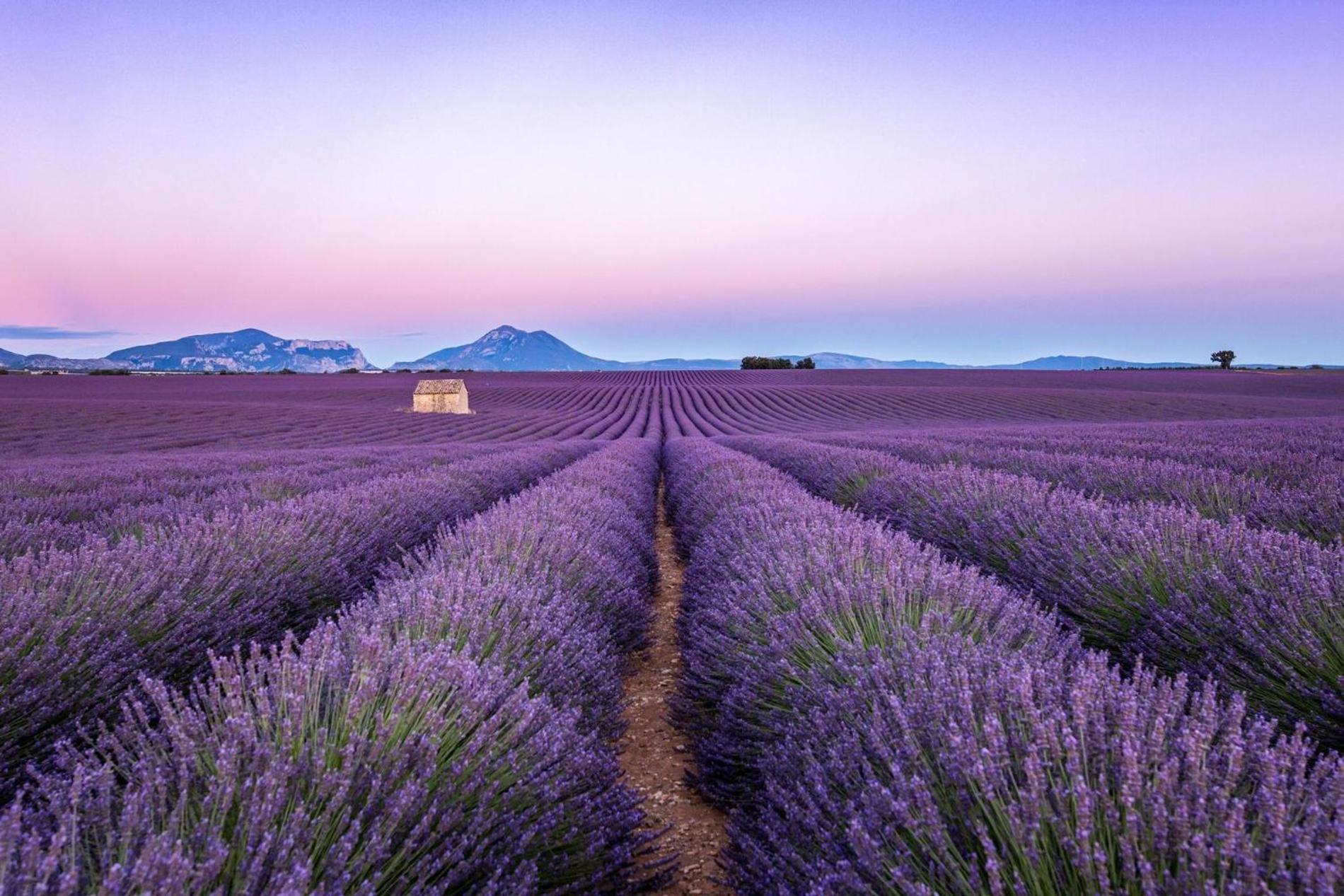 Maison Chaleureuse En Provence * Piolenc